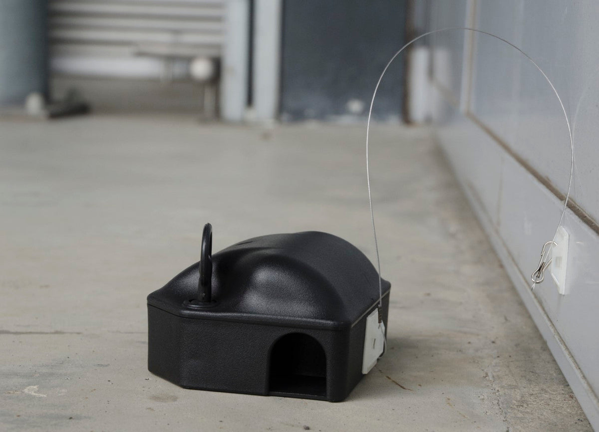 Köderbox Klebe-Anker 25 cm