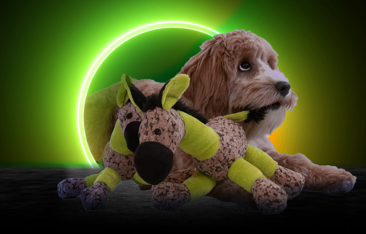 Retrodog Donkey