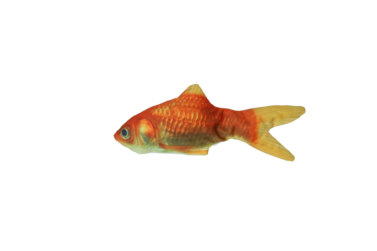 Robocat Floppy Fish