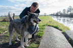 Royal Dry Handdoek Voor Honden