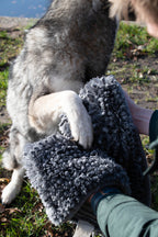 Royal Dry Handdoek Voor Honden