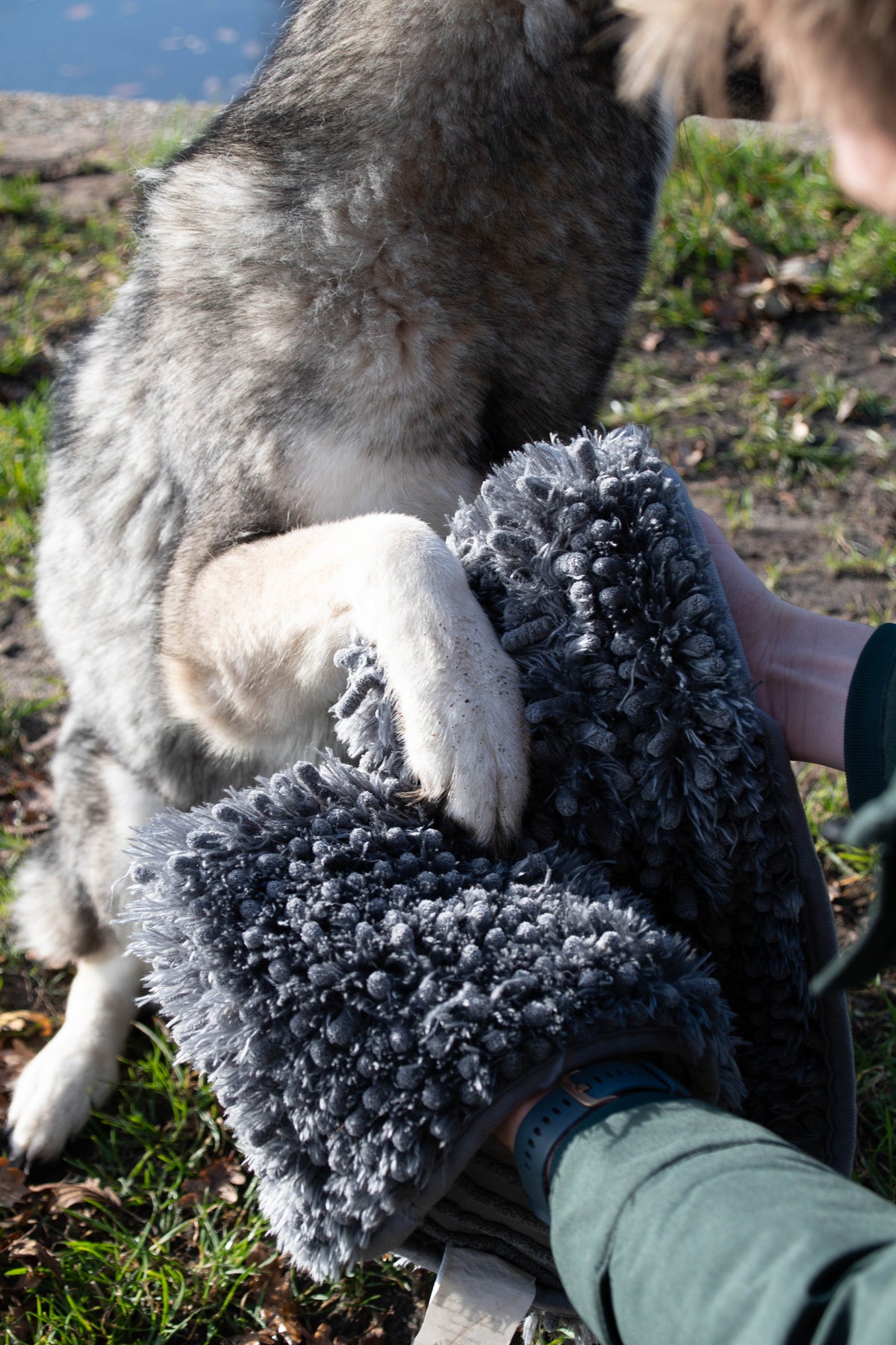 Royal Dry Handdoek Voor Honden
