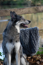 Royal Dry Handdoek Voor Honden