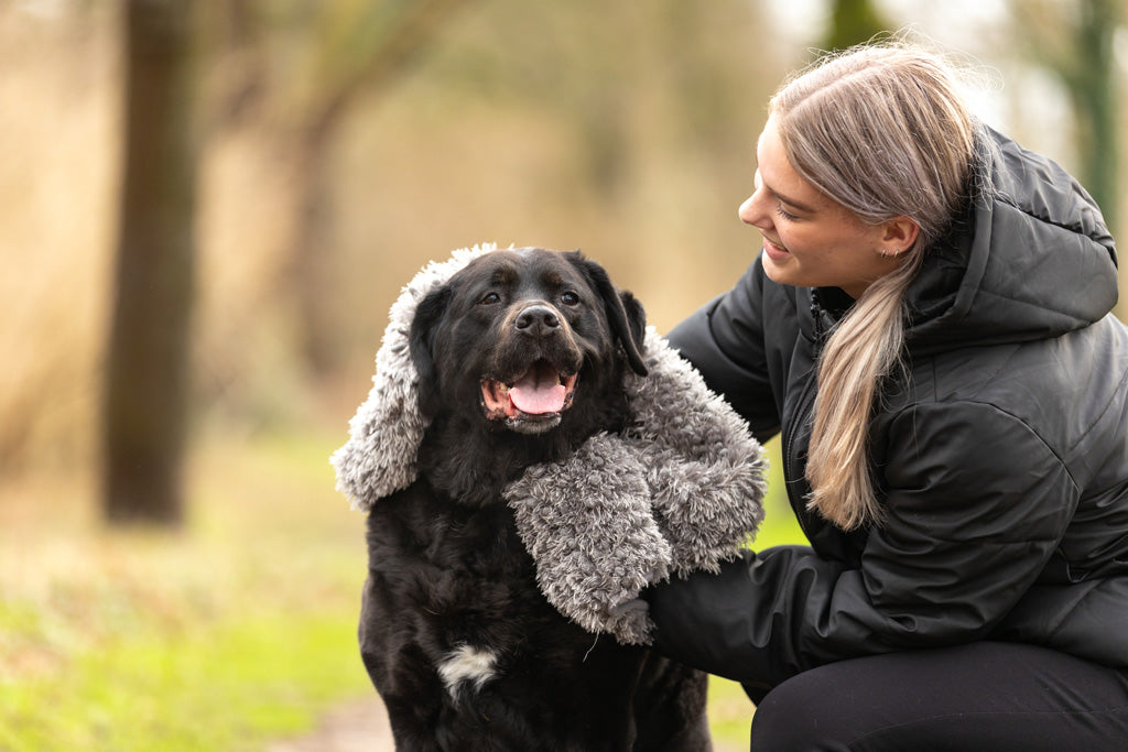 Royal Dry Handdoek Voor Honden