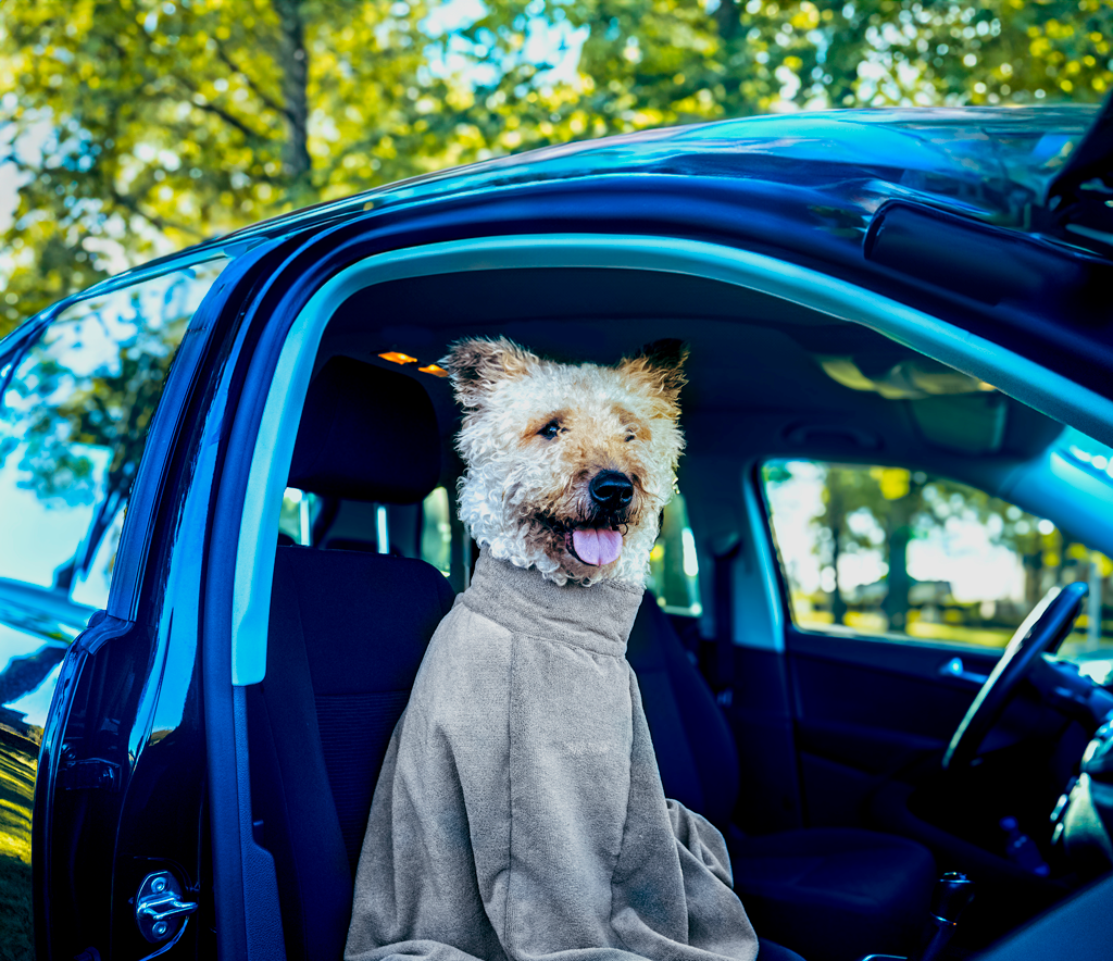 Royal Dry Doggy Bag Droogzak