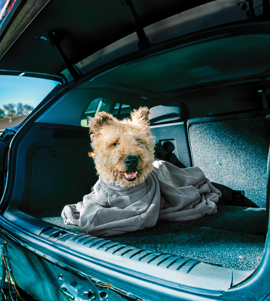 Royal Dry Doggy Bag Droogzak