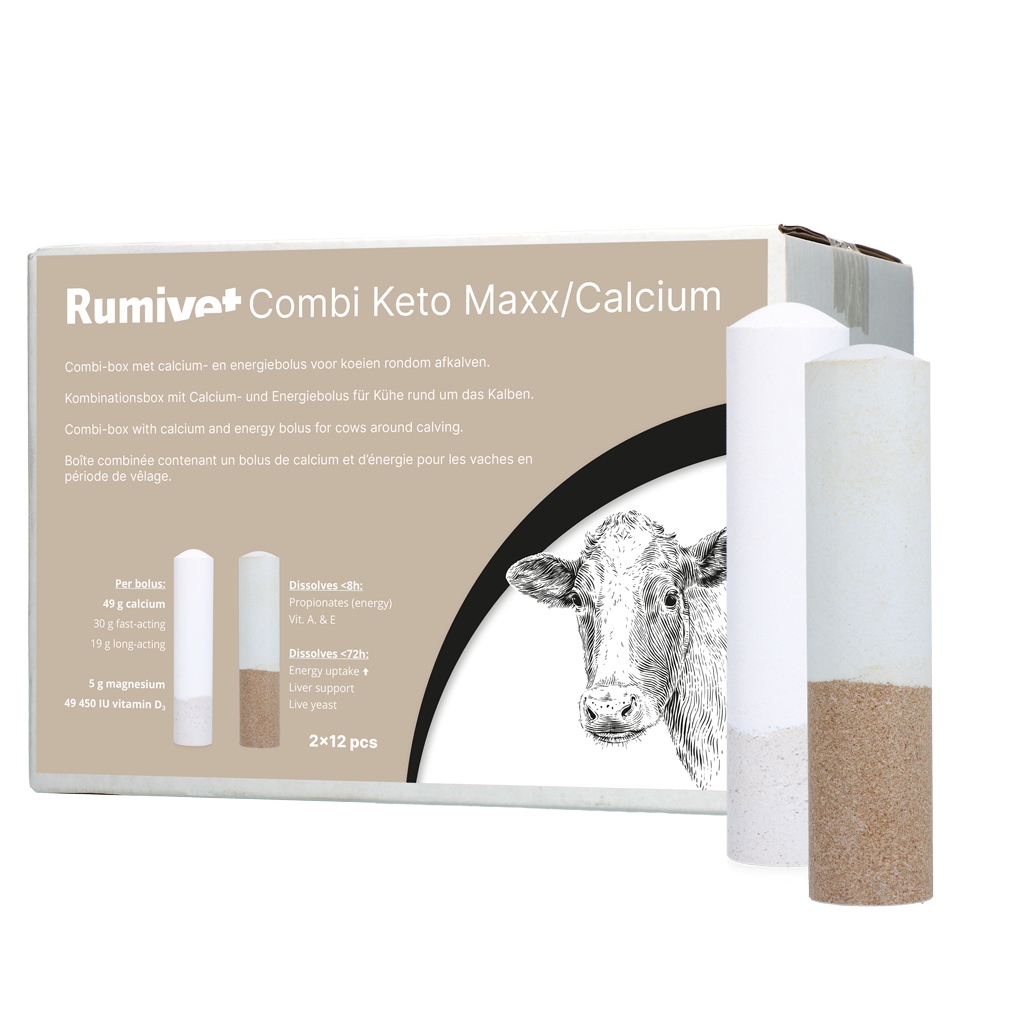 Rumivet Combi Keto Maxx/Calcium bolus 2x12 stuks