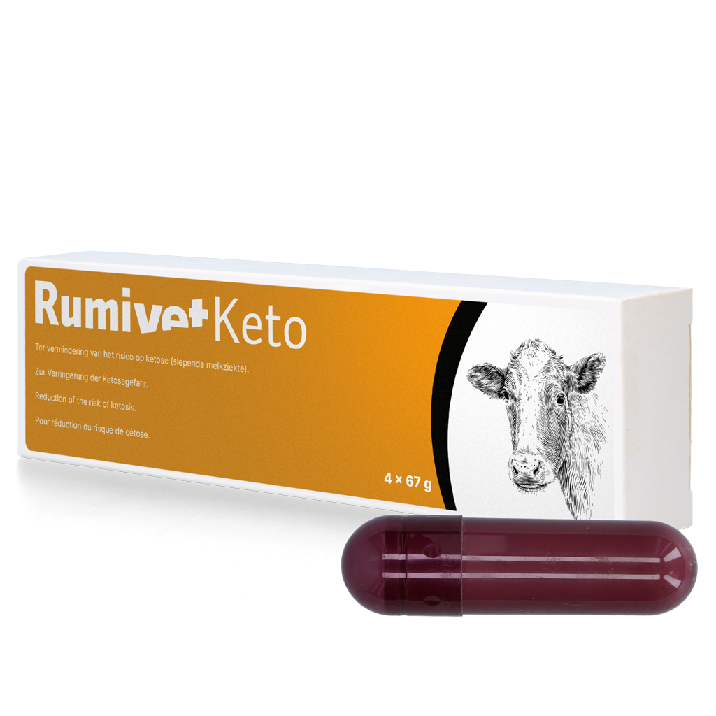 Rumivet Keto 4 x 67 g