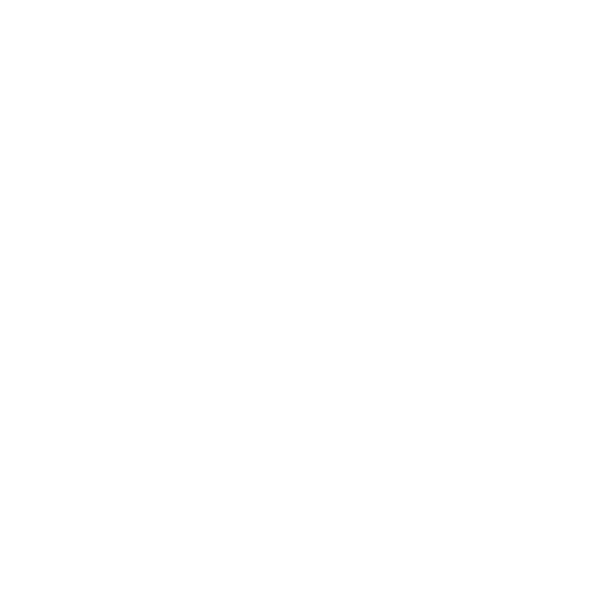 Rumivet