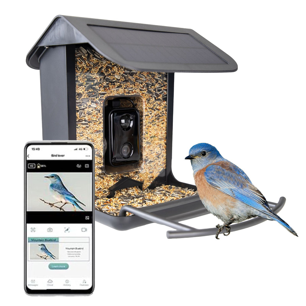 AI Bird Feeder mit Kamera