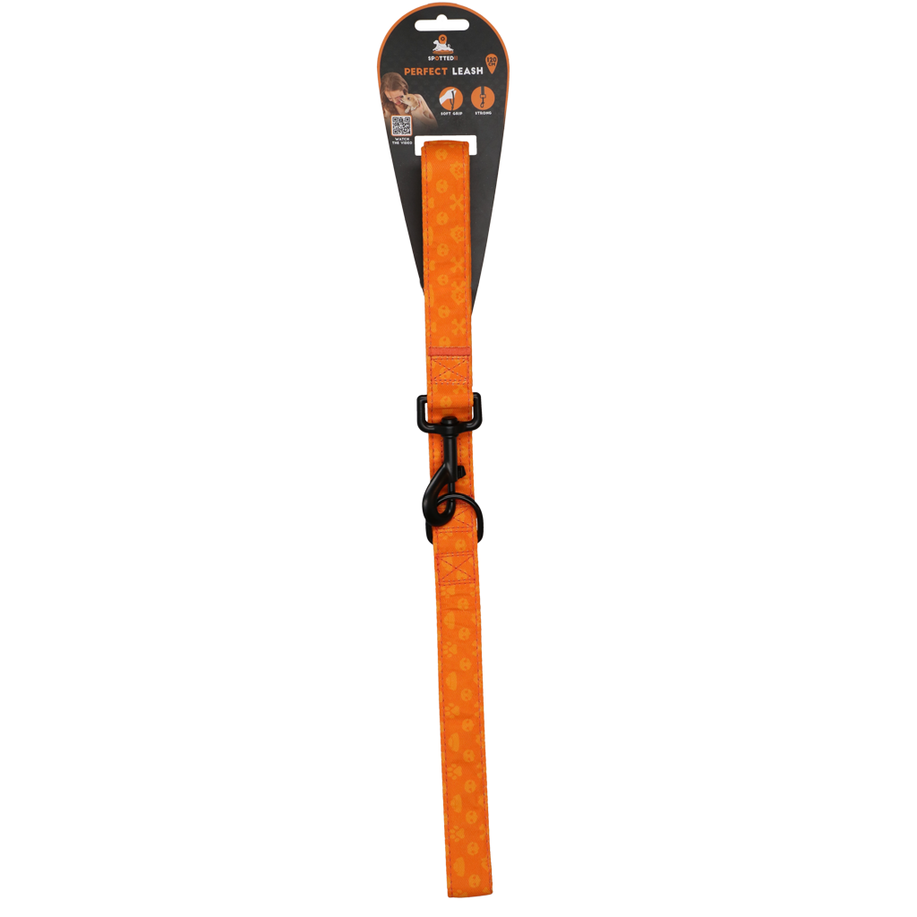 Spotted! Pro Perfect Leash 120 cm