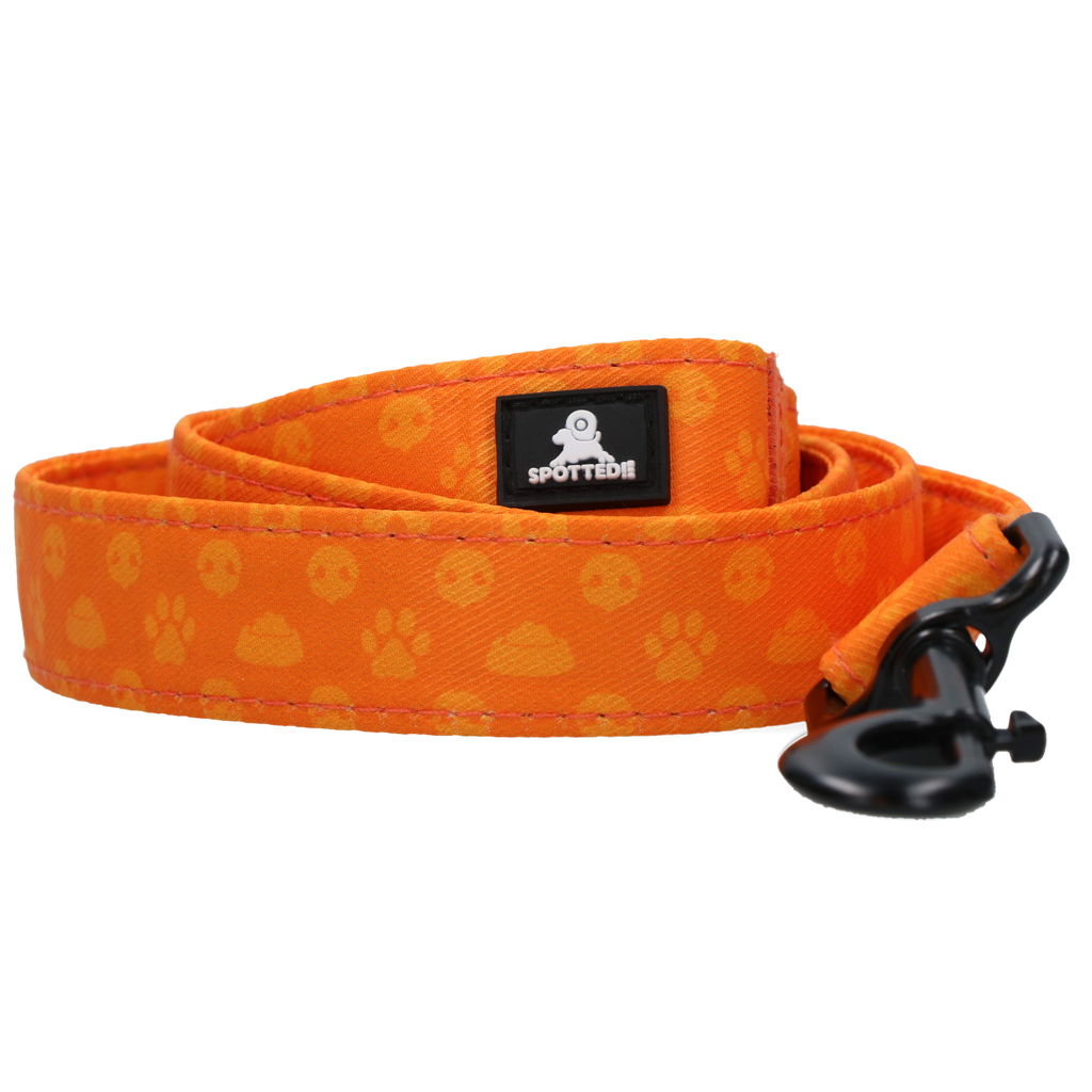 Spotted! Pro Perfect Leash 120 cm