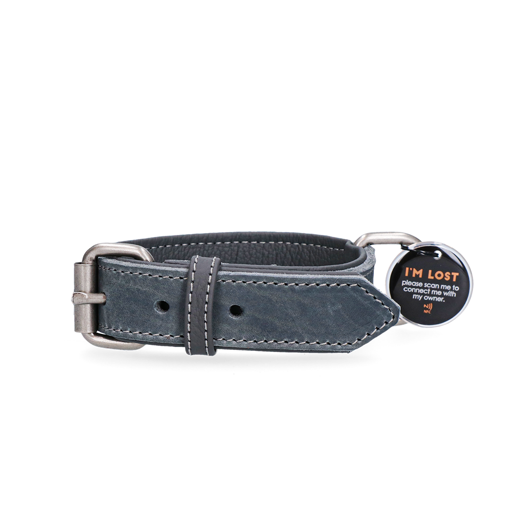 Spotted! Pro Leren Halsband