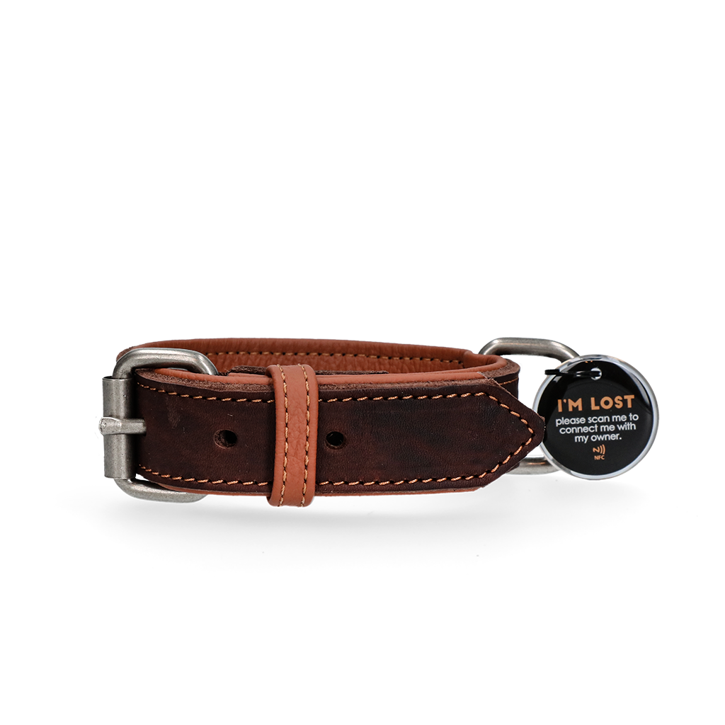 Spotted! Pro Leren Halsband