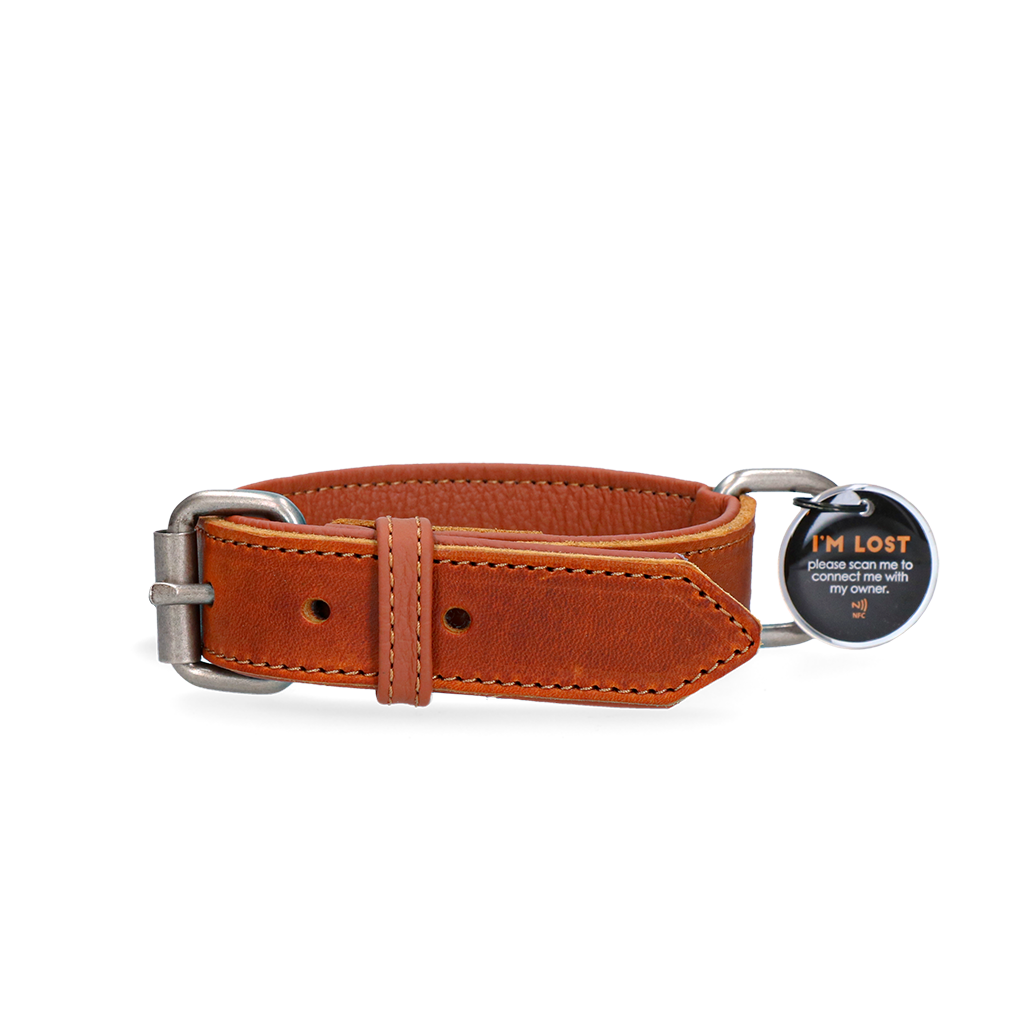 Spotted! Pro Leren Halsband