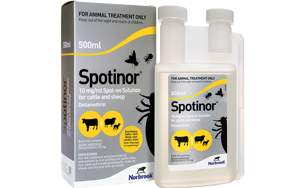 Spotinor 10 mg/ml spot-on REG NL URA