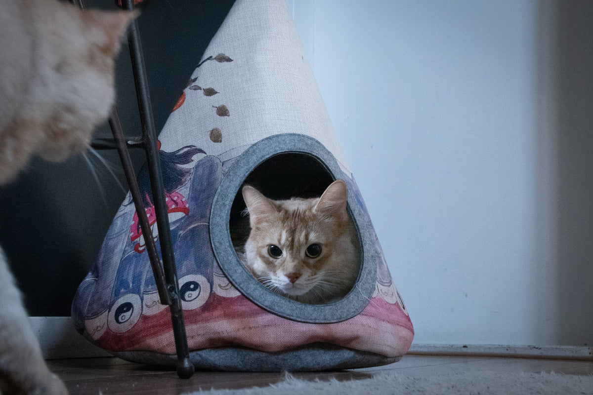 Takara Tipi Yin Yang