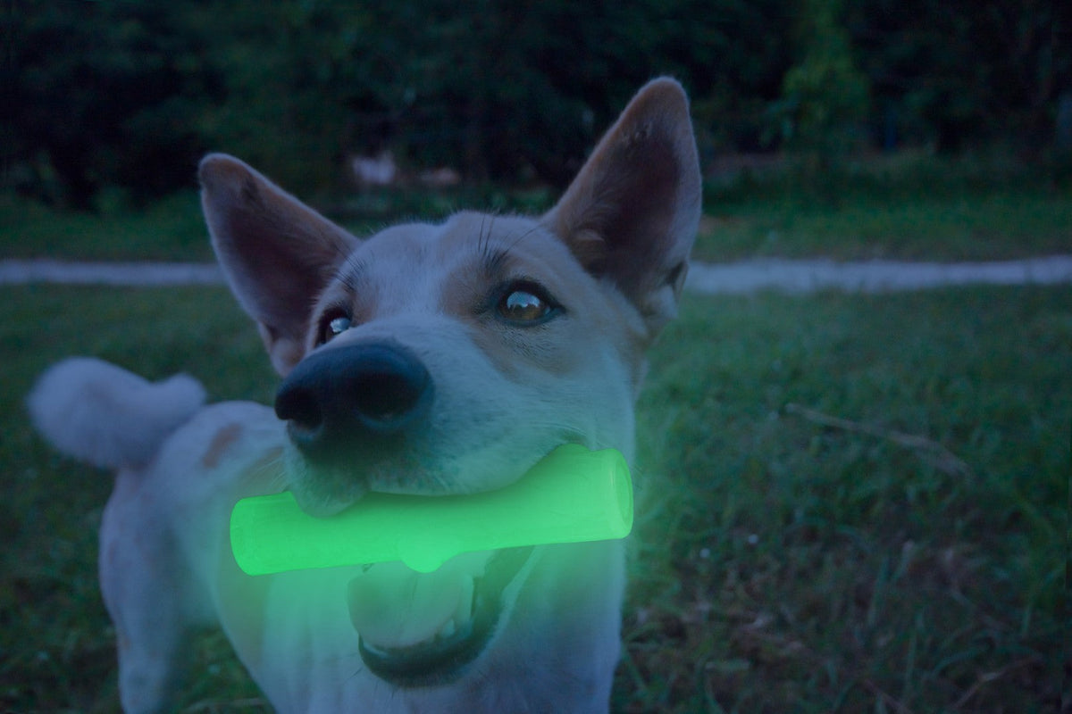 2 Glow Cracking & Tracking Stick