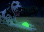 2 Glow Fetch & Play