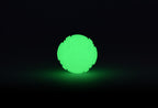 2 Glow Fetch & Play