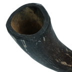 Viking Horn Whole S
