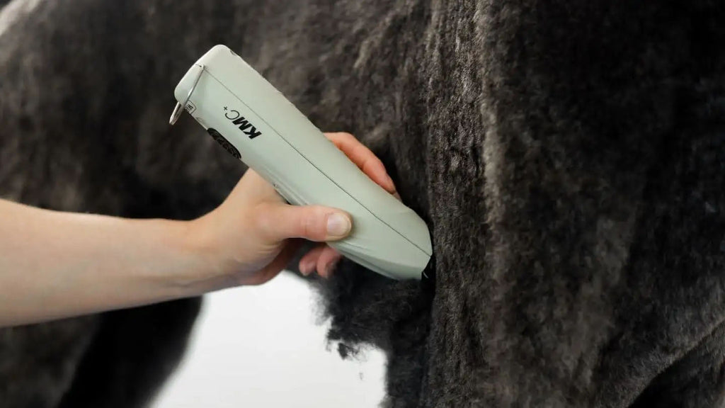 Wahl KMC+ Kabel-/Kabelloser Trimmer