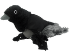 Wild Life Dog Rabe