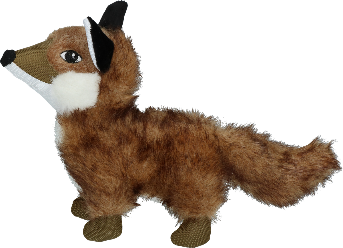 Wild Life Dog Fuchs