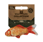 Wild Life Cat Goldfish