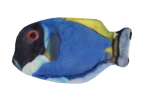 Wild Life Cat Blue Tang