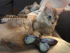 Wild Life Cat Blue Butterfly