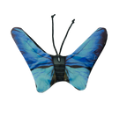 Wild Life Cat Blue Butterfly
