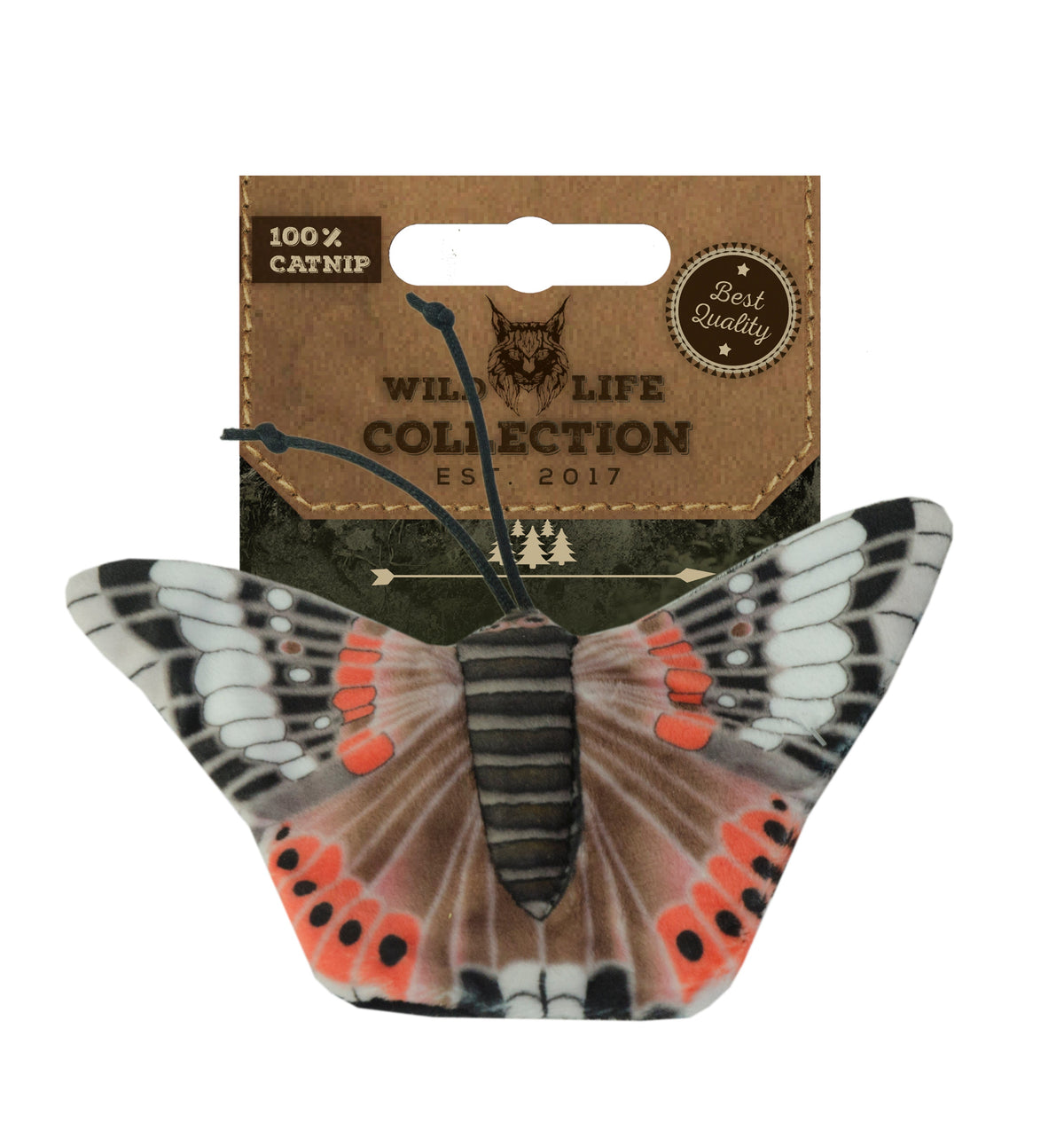 Wild Life Cat Admiral Schmetterling