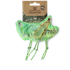 Wild Life Cat Grasshopper
