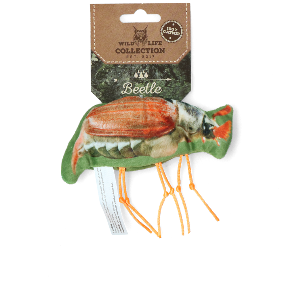 Wild Life Cat Beetle