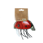 Wild Life Cat Ladybug