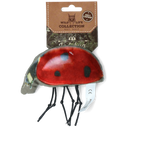 Wild Life Cat Ladybug