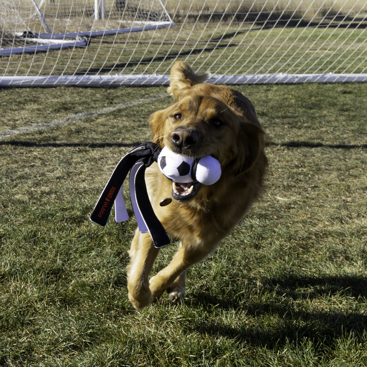 KONG Wubba Sport Football L