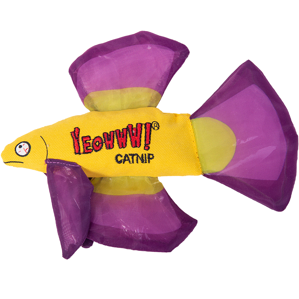 Yeowww! Mo Betta Fish