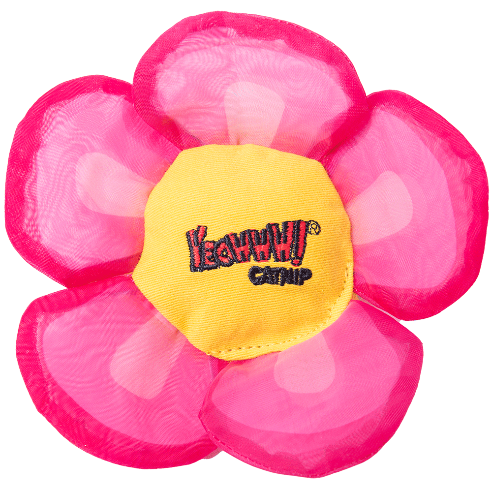 Yeowww! Daisy's Flower Tops