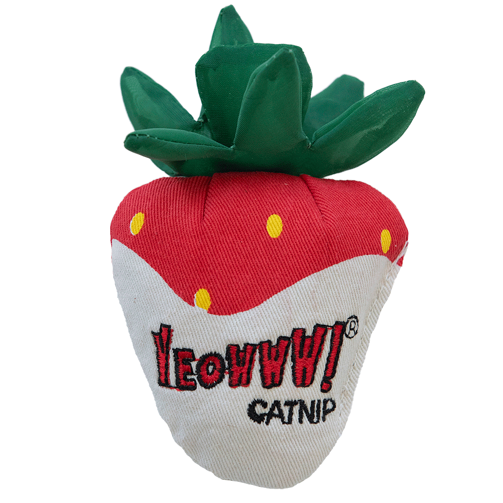 Yeowww! Strawberry Wit Chocolade