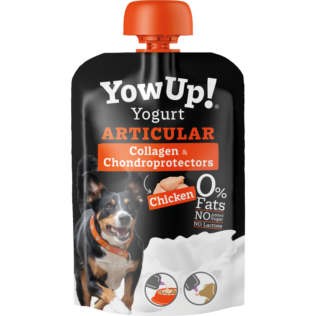 YowUp! Yogurt Dogs
