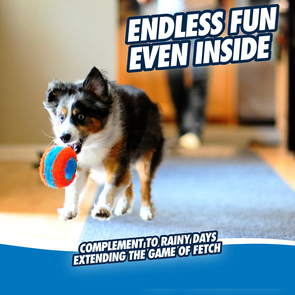 Chuckit! Indoor Roller