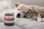 RelaxoPet PRO Touch Hond