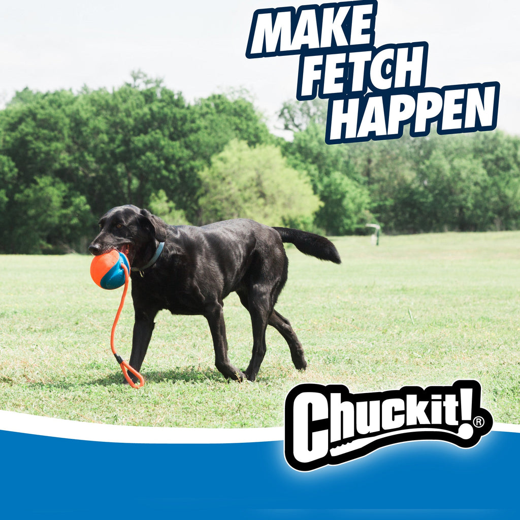 Chuckit! Rope Fetch