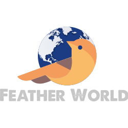 Feather World@0.25x