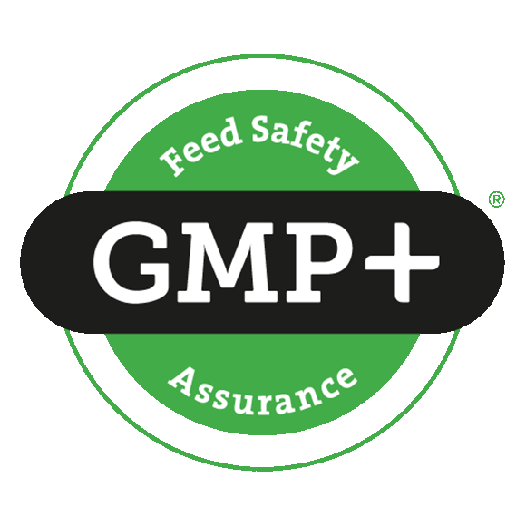 GMP+-1