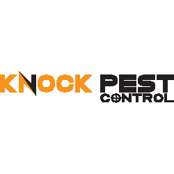 Knock Pest@0.25x-1