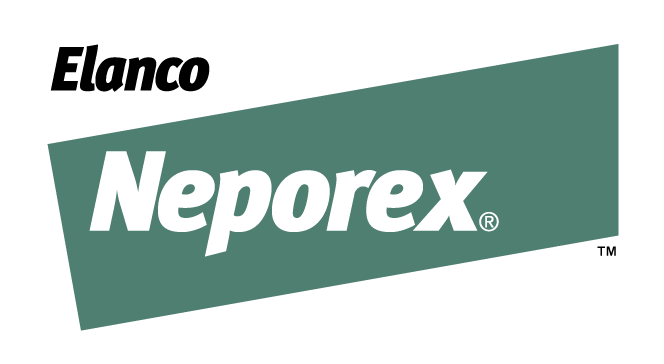 TH_Poultry_Neporex_114_37