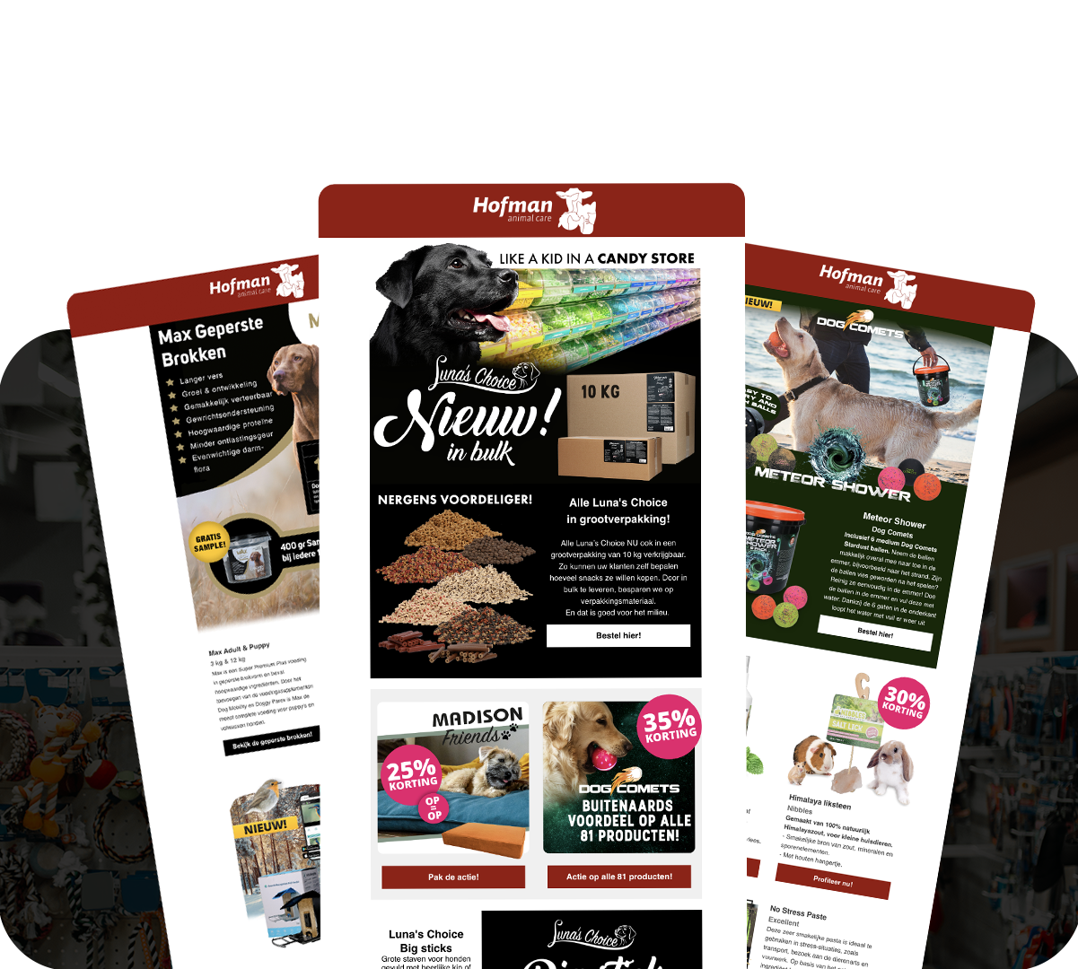 Dierenwinkel_Website_mailingen